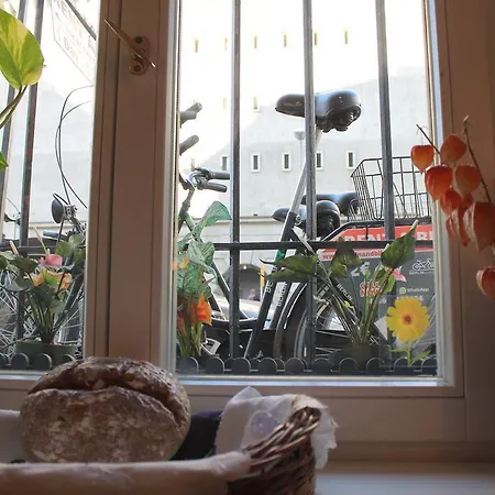Hotel Amelie